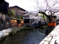 Kyoto Gyon