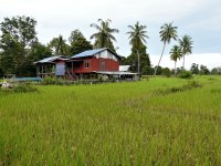 Mekong island farm
